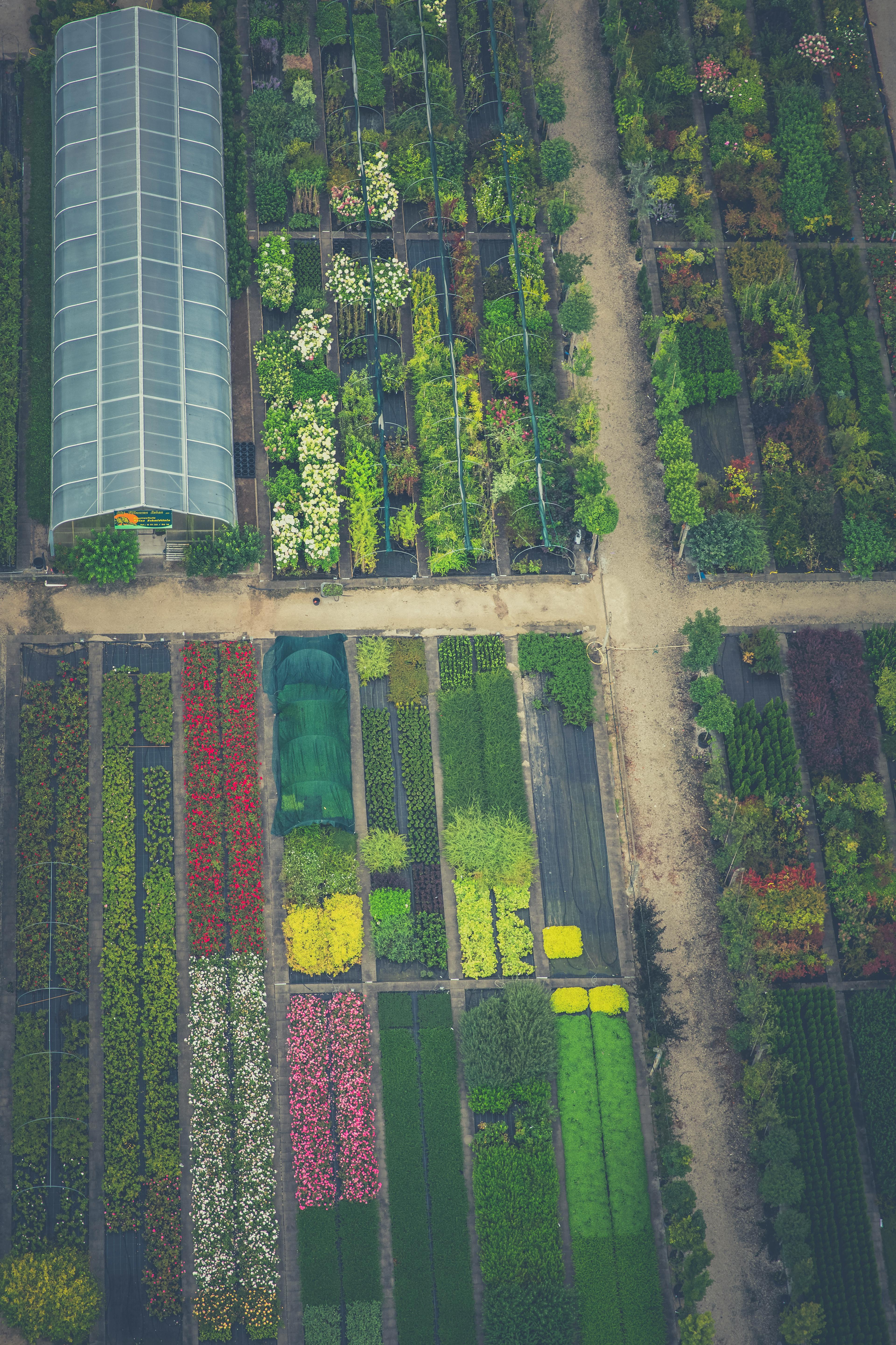 Gartenplanung Visualisierung