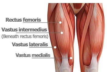 Kniebeugen zur Stärkung des Vastus Medialis